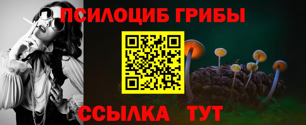 Галлюциногенные грибы GOLDEN TEACHER Сердобск